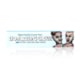 Papel para Cigarro Lion Rolling Circus King Size Large Silver